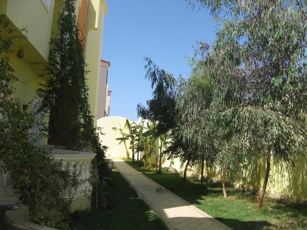 Villa Shahrazad 洪加達 外观 照片