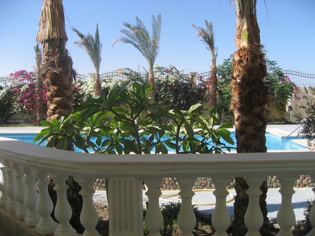 Villa Shahrazad 洪加達 外观 照片